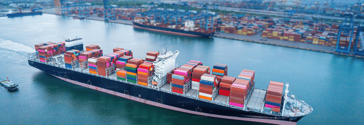 export-bg